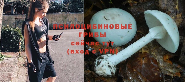 дживик Армянск